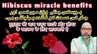 Hibiscus tea or supplements magical health benefits  Urdu hindi [upl. by Acisey]