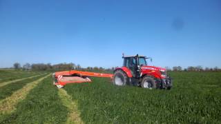 fauchage de ray grass 2017 massey ferguson et faucheuse Kuhn 3m50 [upl. by Tatiania]