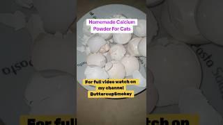 Eggshell powder recipe  homemade calcium for cats  eggshell calciumpowder organiccalcium pets [upl. by Bundy241]