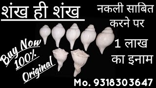 शंख बजाने की कला सीखें बस 5 मिनट में  शंख कैसे बजाया जाता है शंखनाद करना सीखें। How to blow shankh [upl. by Gale]