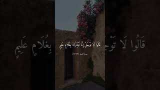 Hazzaalbalushi surah quran trending beautiful voice islam allah edit emotional viral [upl. by Riva]