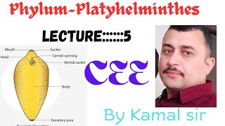 Phylum Platyhelmintheslecture —5 by Kamal sir Cee Nepal students [upl. by Remmus]