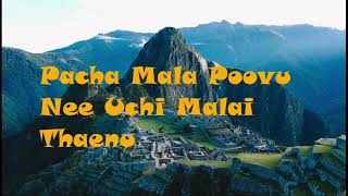 PACHAMALA POOVU english lyrics tamil lyrics SPB ilayaraja Kizhakku Vaasal Karthik Muthuraman [upl. by Kenyon399]