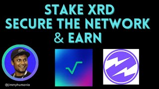 How to Stake XRD Token — Secure Radix amp Earn [upl. by Haduhey]