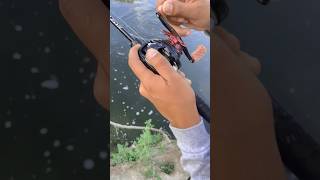 Good catch on the bellows gill diawareels baitfinessesystem bass hookset [upl. by Nidya732]