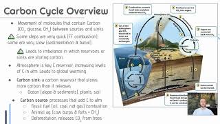 APES Video Notes 42  Soil Formation amp Erosion [upl. by Rufe]