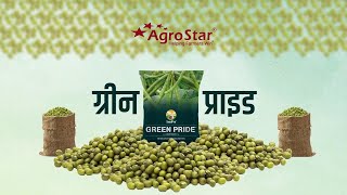 दमदार गुणवत्ता वाले मूंग बीज की है तलाश No1 Moong seed agrostar moong farming [upl. by Glanti]