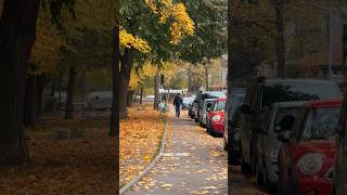 Autumn in Regensburg 🍁 [upl. by Eerized]