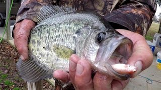 Crappie Fishing With A Bobber and Live Minnows [upl. by Silevi]