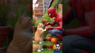 Spiderman ❤️ cats ⚡ DC Marvel Characters batman spiderman marvel superman shortvideo superhero [upl. by Hedaza]