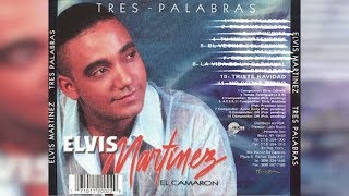 Elvis Martinez  Triste navidad Audio Oficial álbum Musical Tres Palabras  2002 [upl. by Marion693]