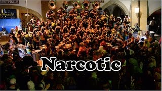 Narcotic  Ringmurechutze  Fastnacht Murten 2017 [upl. by Ahsenot]