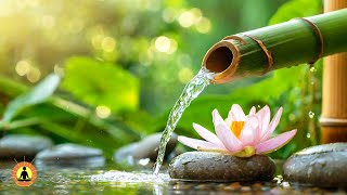 Tranquil Birdsong Music Relaxing Music for Stress Relief Spa River Sounds Meditation Music Zen [upl. by Adrianna]