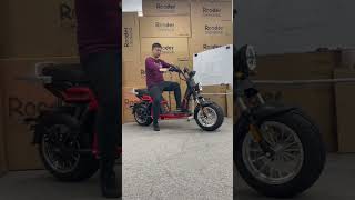 Rooder Harley electric scooter citycoco chopper ElektroRoller echopper larsky 8613632905138 [upl. by Quince]