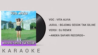 Vita Alvia  Bojomu Sesok Tak Silihe Karaoke Dj Remix [upl. by Wistrup]