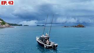 Marlin Fishing on board Evo with Luke [upl. by Nilats]