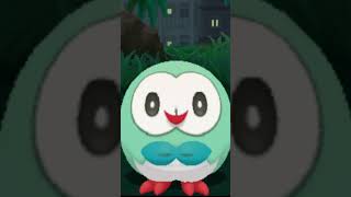 Send this to a rowlet fan without context pokemon rowlet [upl. by Aleirbag]