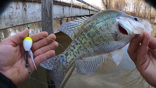 Creek CRAPPIE Fishing From The BANK🎣JIG AND BOBBER CREEK CRAPPIE 2024‼️ [upl. by Aisatsana]