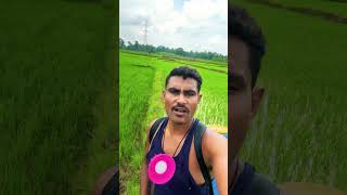 New farming sort video🌾sortvideo Om Jain 07sortvideo [upl. by Moguel458]