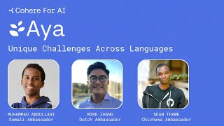 Aya Unique Challenges Across Languages [upl. by Ecnarret]