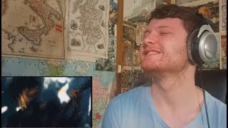 Dir En Grey  Vinushka Live REACTION [upl. by Weylin281]