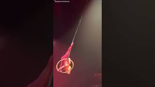 Cirque du Soleil aerialist falls during performance ￼ [upl. by Kippie]