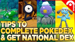 How to Complete the Pokedex amp Get the National Dex in Pokemon Brilliant Diamond amp Shining Pearl [upl. by Cullen398]