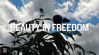 FFGs NATURAL WORLD BEAUTY IN FREEDOM [upl. by Oicnoel]