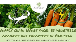 Supply Chain SolutionsVegetable Supply Chain issues and solution for vegetables in Pakistan [upl. by Denton]