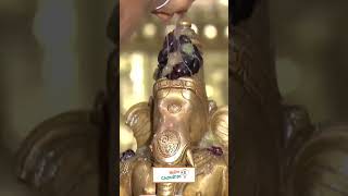 மணக்குள விநாயகர் கோவில் பாண்டிச்சேரிManakula Vinayagar Temple Pondyshortsganapathikovilstory [upl. by Ursala]