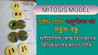 Mitosis Cell Division modelSimple amp Easyকম খরচে এবং সহজে মাইটোসিস কোষ বিভাজনের মডেল তৈরির উপায়। [upl. by Yblek]