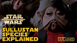 The Sullustan Species Explained  Star Wars Explained [upl. by Yrellav]