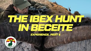 Ibex Hunt in Beceite Wild Hunt Experience in Spain [upl. by Anilegnave]