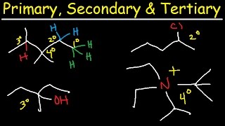 Primary Secondary Tertiary amp Quarternary Hydrogen and Carbon Atoms [upl. by Fleurette]