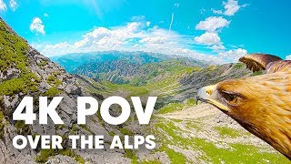 Breathtaking Eagle POV Flying Over The Alps in 4K [upl. by Osrick]