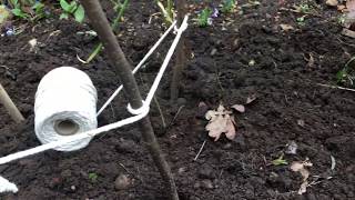 Building a sweet pea wigwam [upl. by Netsua]