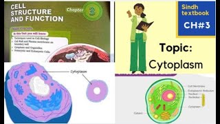 Cytoplasm l Cytosol l Cell structure and function l XI biology [upl. by Juan]