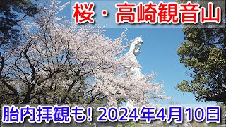 【桜・高崎観音山】胎内見学も 2024年4月10日 [upl. by Vitoria322]