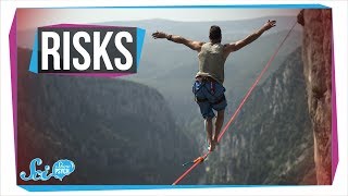 Why Do Some People Take More Risks [upl. by Sidras]