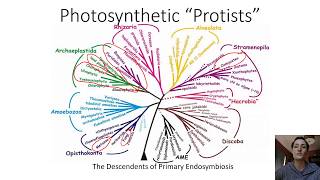 Descendants of Primary Endosymbiosis Introduction [upl. by Coryden62]