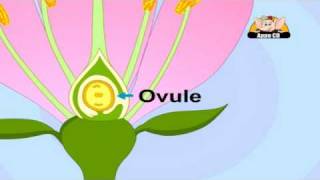 Learn about Plants in Hindi  Life Cycle [upl. by Killion]