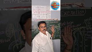 Excretion  Urination Diabetes insipidus Science Dr Shyamal Mitra [upl. by Bremer]