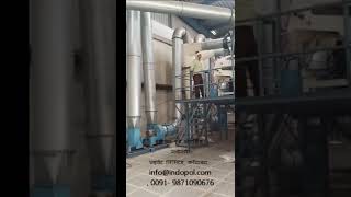 Dal Cleaning plant businessideas machine dalmill dalmillmachine ytubeshorts youtubeshorts [upl. by Nelleeus]