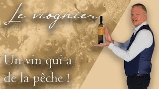 Le viognier  un vin qui a de la pêche [upl. by Nwahshar797]