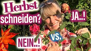 ROSEN schneiden ✂️ im HERBST John Scarman Deadheading STOP [upl. by Akinorev955]