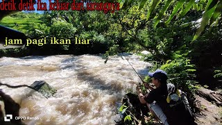 MANCING IKAN LIAR [upl. by Charita943]