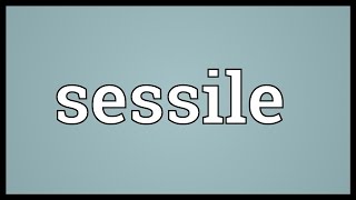 Sessile Meaning [upl. by Mitzi]