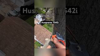 This top handle chainsaw is perfection 🤌 Husqvarna T542i husqvarna batterypowered treeclimbing [upl. by Nahtannhoj]