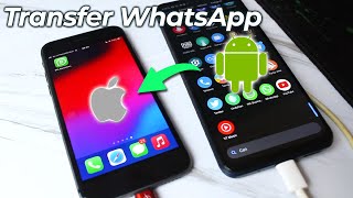 Cara Memindahkan Whatsapp Business dari Android ke iPhone Tanpa Hapus Data [upl. by Hirasuna]