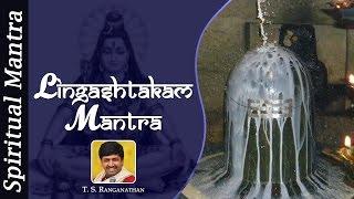 Maha Shivratri Special 2023 Shiva Lingashtakam Mantra Lyrics  Powerful Mantra [upl. by Suneya]